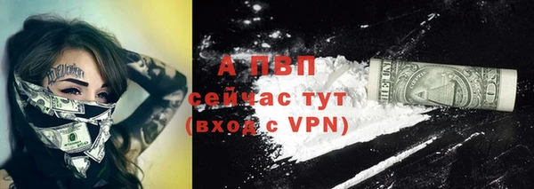 стаф Алексеевка