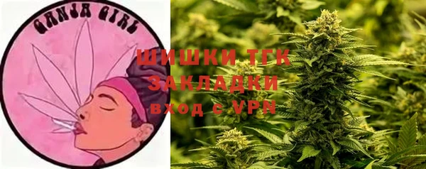 стаф Алексеевка